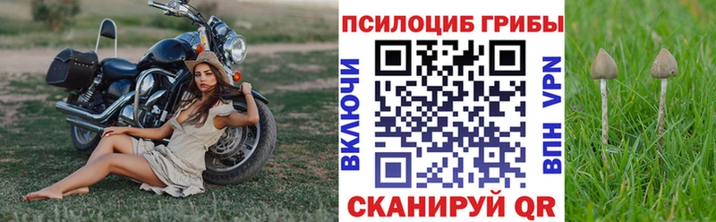 гидра маркетплейс  Муром  Псилоцибиновые грибы Psilocybe 